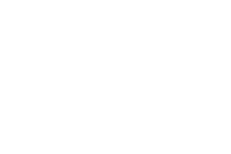 BOE Logo - white-nobkgrd